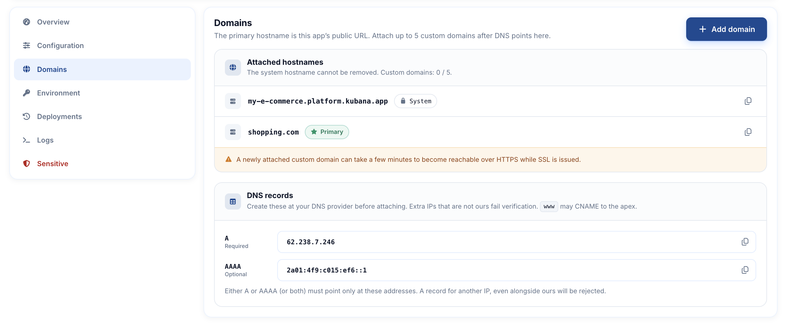 Domains tab with DNS A/AAAA values and an attached custom hostname marked verified / primary